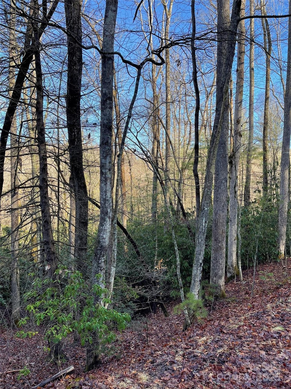 000 Old Ccc Rd, Hendersonville, NC 28739 - photo 1