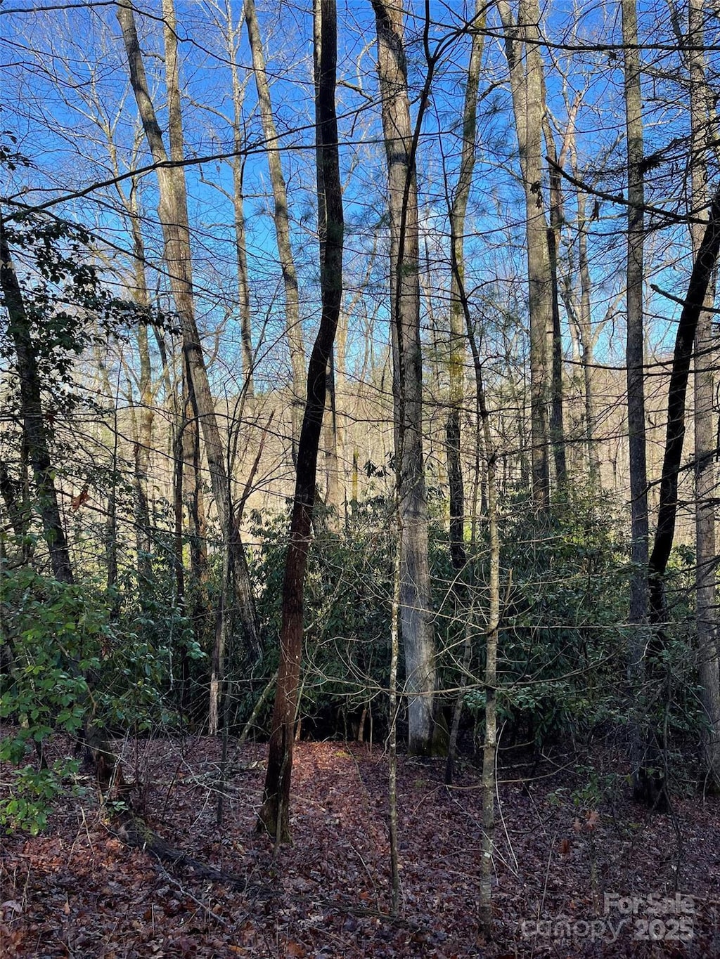 000 Old Ccc Rd, Hendersonville, NC 28739 - photo 2