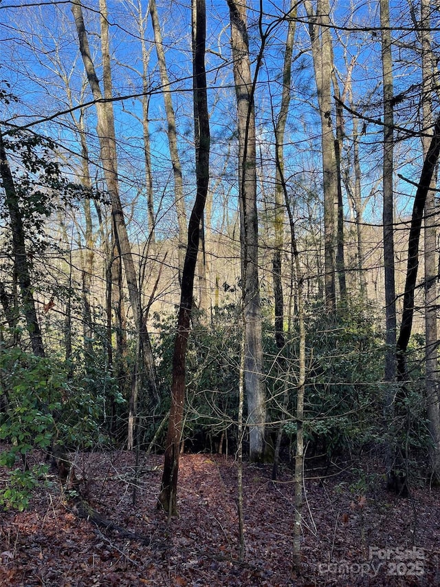 000 Old Ccc Rd, Hendersonville, NC 28739 - photo 2