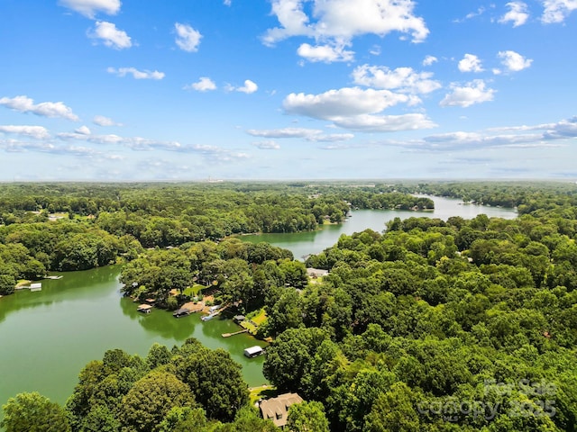 7040 Hyde St, Sherrills Ford, NC 28673 - drone / aerial view of a nearby body of water