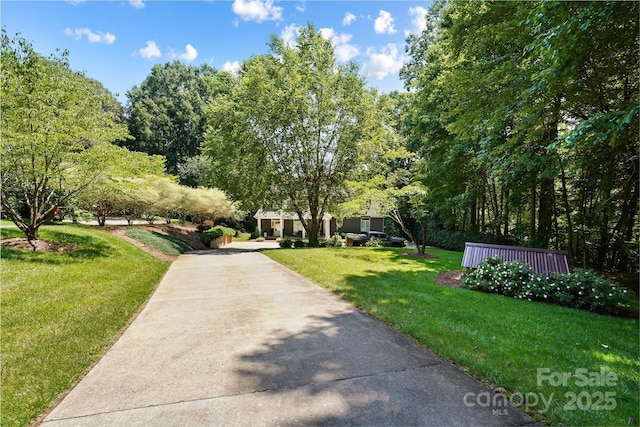 7040 Hyde St, Sherrills Ford, NC 28673 - surrounding community with a lawn and concrete driveway