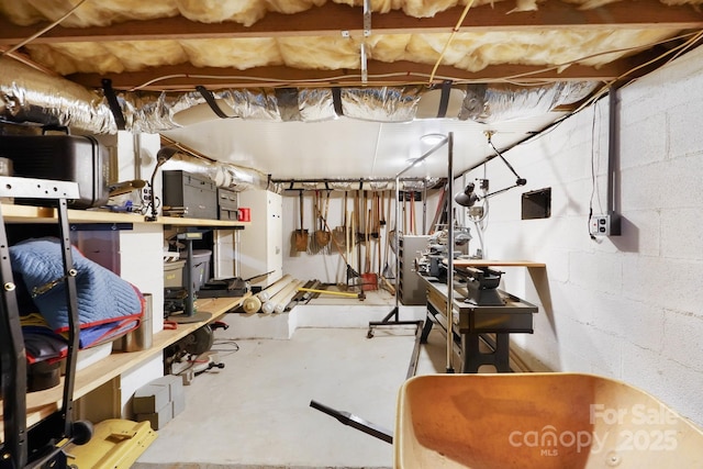 7040 Hyde St, Sherrills Ford, NC 28673 - unfinished below grade area with concrete block wall and a workshop area