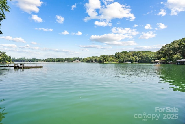 7040 Hyde St, Sherrills Ford, NC 28673 - water view featuring a dock