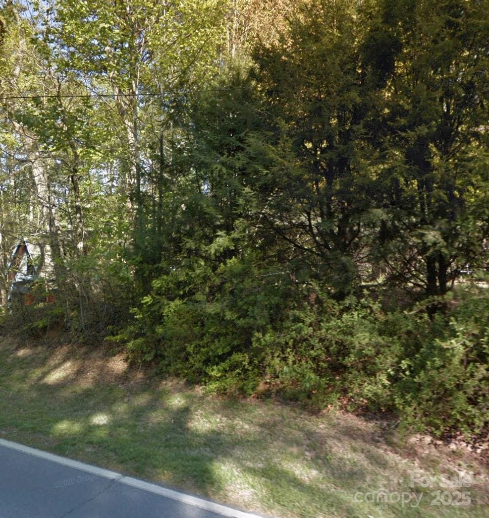 LOT33 Cedar Ln, Arden, NC 28704 - photo 1