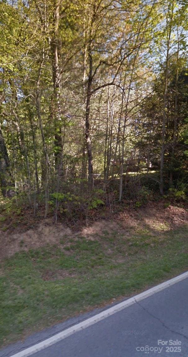 LOT33 Cedar Ln, Arden, NC 28704 - photo 2