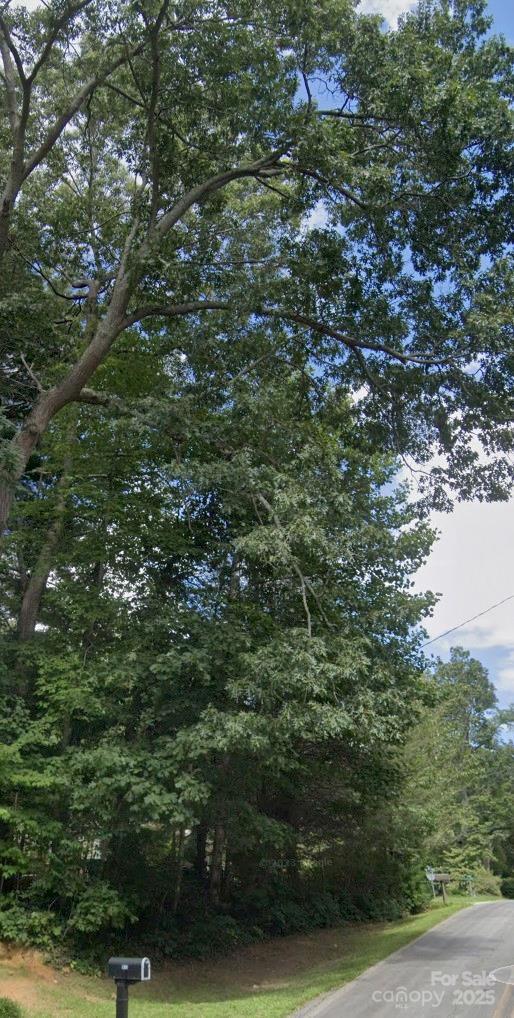 LOT33 Cedar Ln, Arden, NC 28704 - photo 3