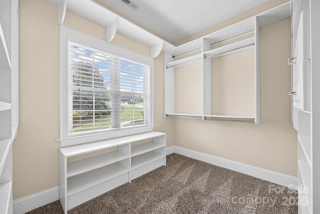 835 Misty Arbor Frd Unit 76, Clover, SC 29710 - spacious closet featuring carpet flooring