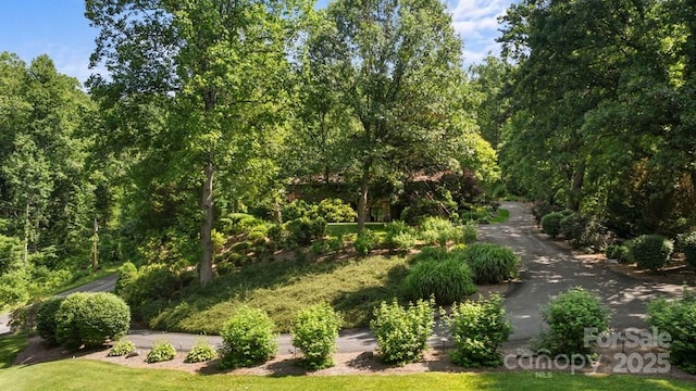 188 Black Rock Ranch Rd, Sylva, NC 28779 - photo 9