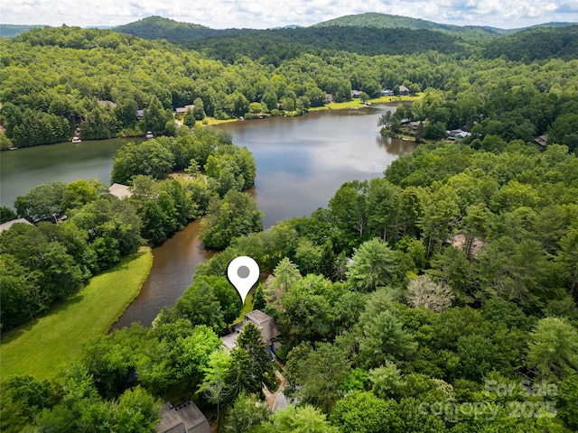 49 Lakeside Villas Dr, Brevard, NC 28712 - photo 6