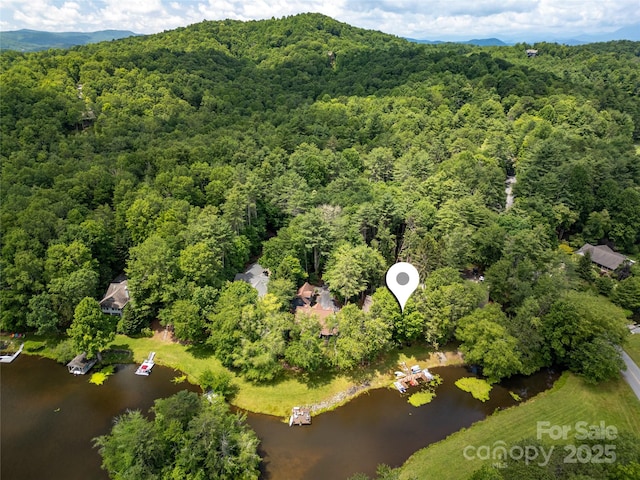 49 Lakeside Villas Dr, Brevard, NC 28712 - photo 8