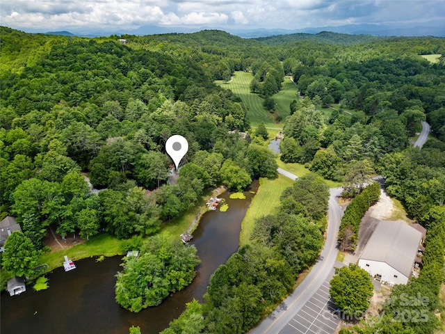 49 Lakeside Villas Dr, Brevard, NC 28712 - photo 9