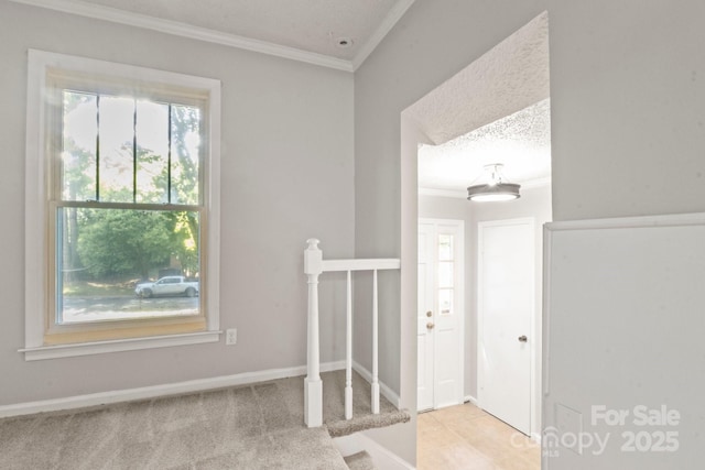 2508 Wood Star Ct, Matthews, NC 28105 - photo 4