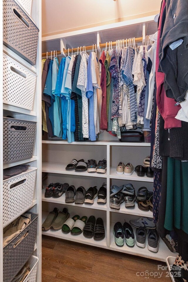 14 New Bern Dr, Fletcher, NC 28732 - walk in closet with wood finished floors