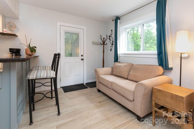 14 New Bern Dr, Fletcher, NC 28732 - living area with light wood-type flooring