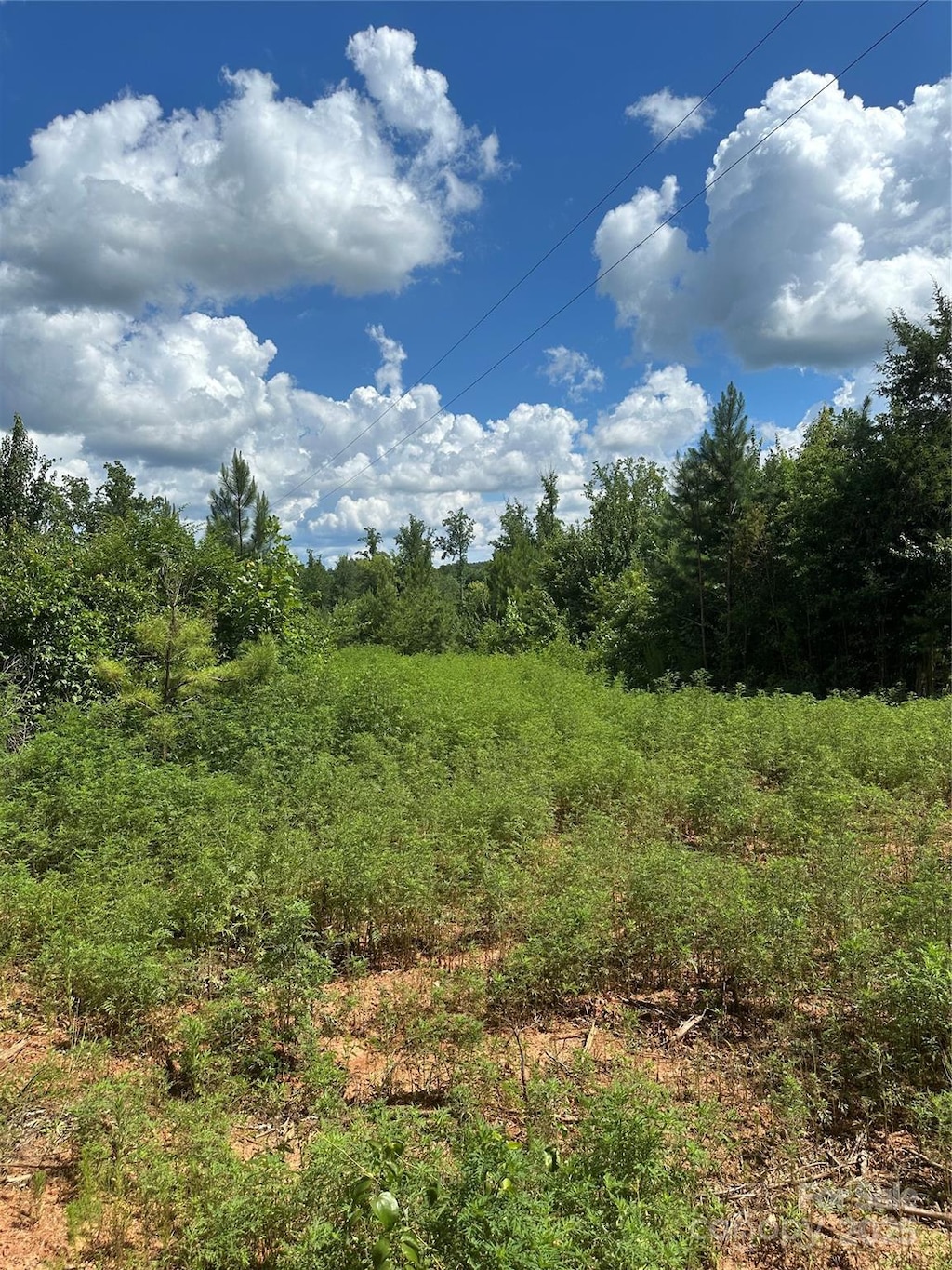 000 Mauney Rd, Bessemer City, NC 28016 - photo 1