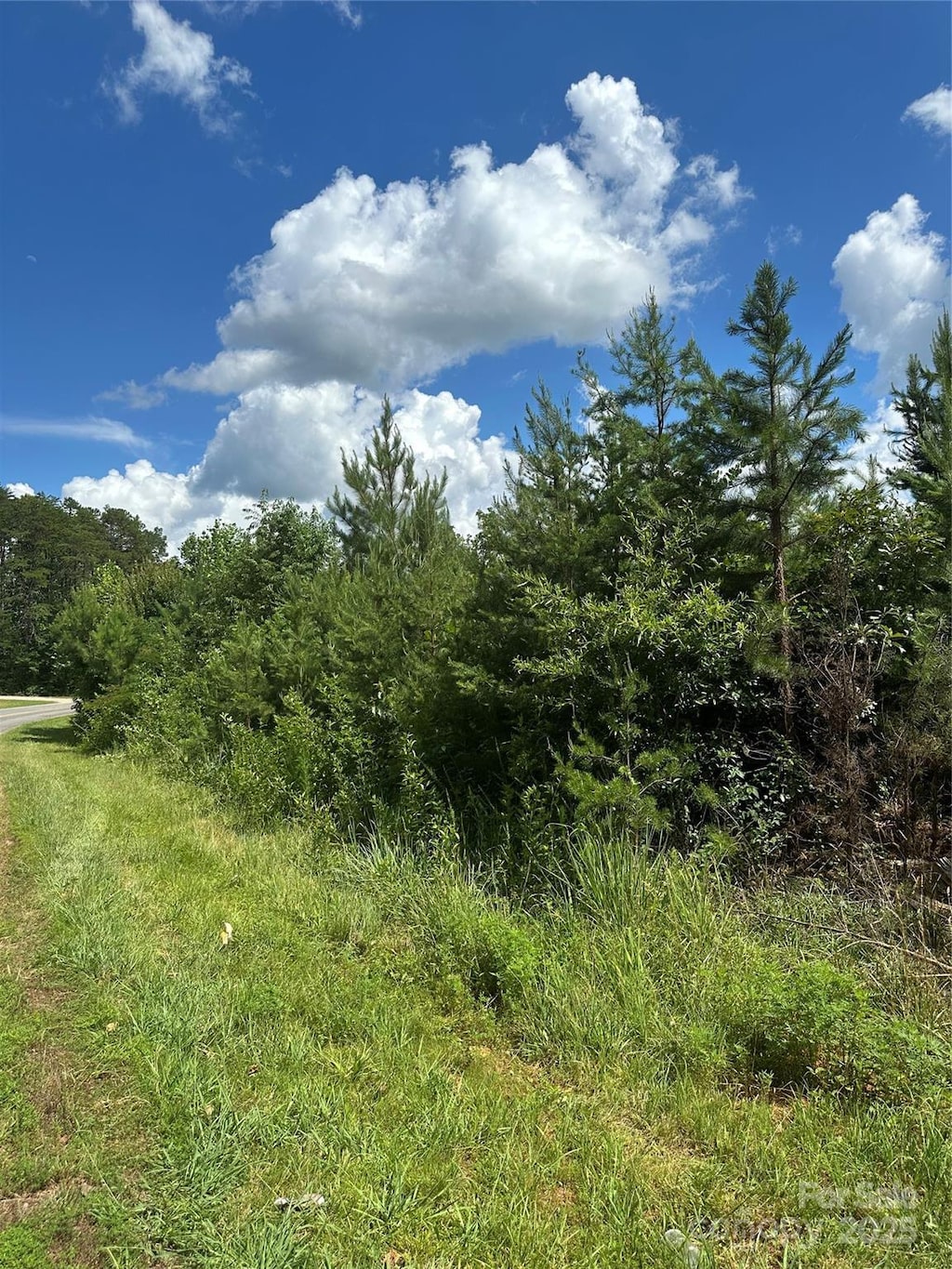 000 Mauney Rd, Bessemer City, NC 28016 - photo 2