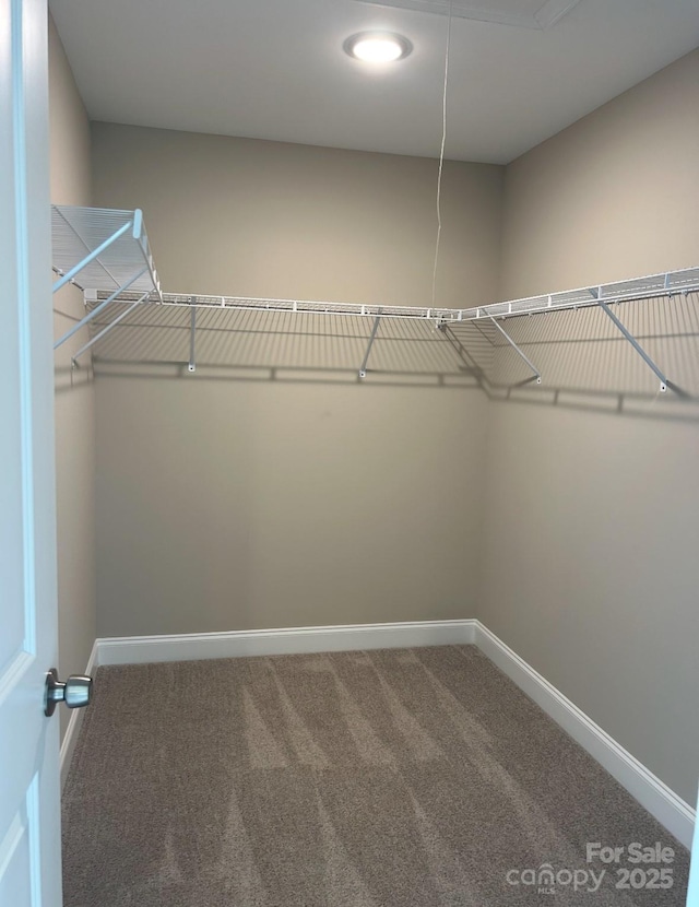 32967 Poplar Lane Rd, Albemarle, NC 28001 - walk in closet featuring carpet floors