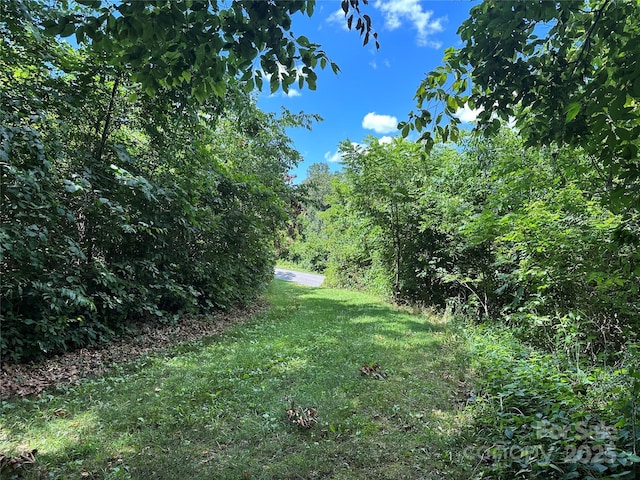 9999 Clarks Chapel Rd N, Weaverville, NC 28787