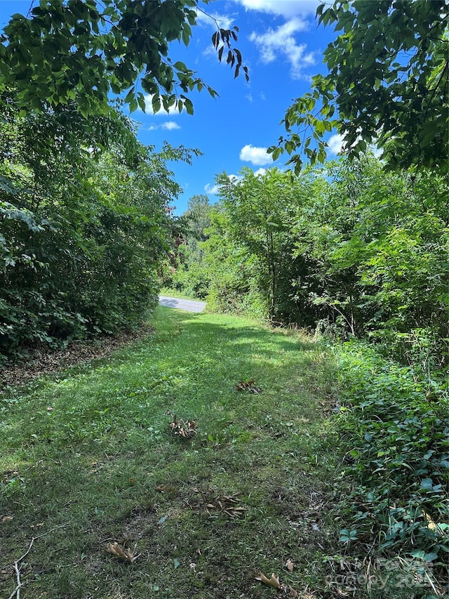 9999 Clarks Chapel Rd N, Weaverville, NC 28787
