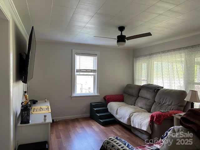 39 Hemphill Rd, Waynesville, NC 28785 - living area with a ceiling fan, ornamental molding, and wood finished floors