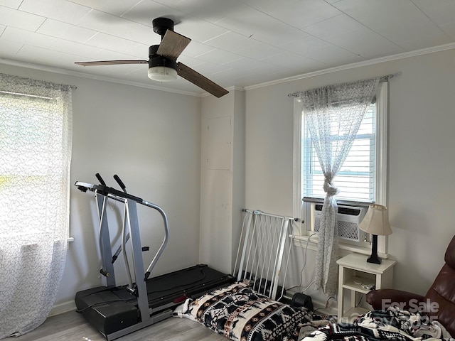 39 Hemphill Rd, Waynesville, NC 28785 - workout room featuring wood finished floors, a ceiling fan, and ornamental molding