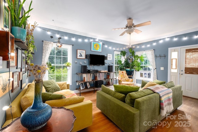 32 Water St, Asheville, NC 28801 - photo 8