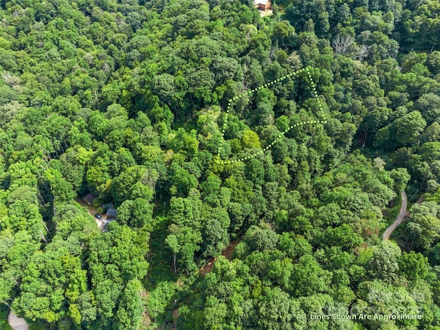 00 Old Sawmill Rd, Burnsville, NC 28714 - photo 5