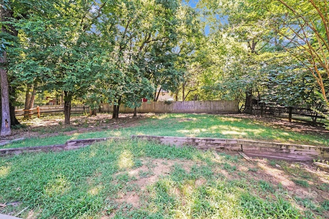 12031 Rock Canyon Dr, Charlotte, NC 28226 - photo 29