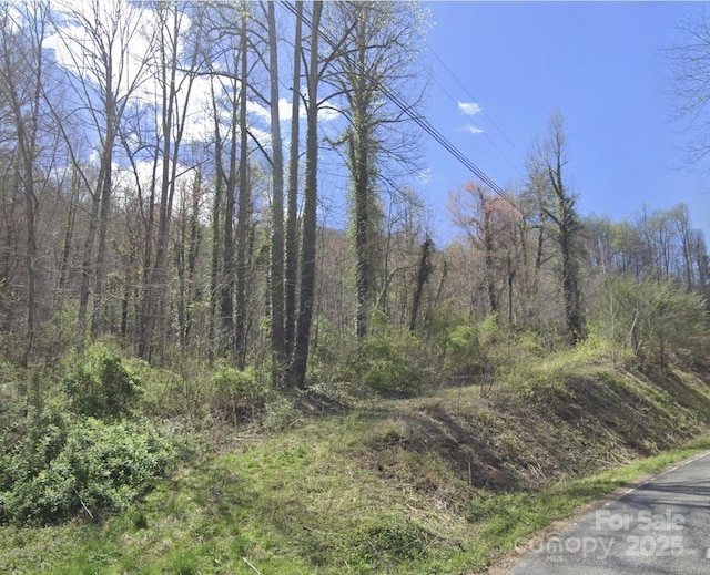 1391 Macktown Rd, Sylva, NC 28779 - photo 1