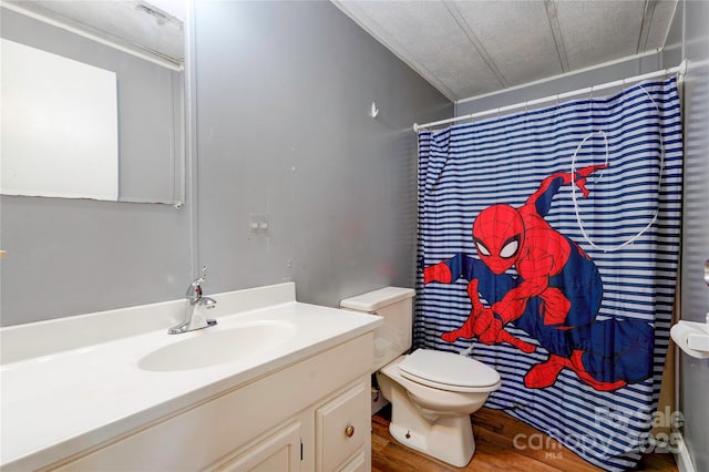121 Whipporwill Ct, Grover, NC 28073 - full bath featuring vanity, wood finished floors, and a shower with shower curtain
