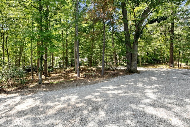 233 Youngs Cove Rd, Candler, NC 28715 - photo 45