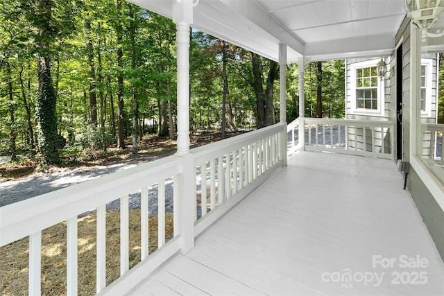233 Youngs Cove Rd, Candler, NC 28715 - photo 40