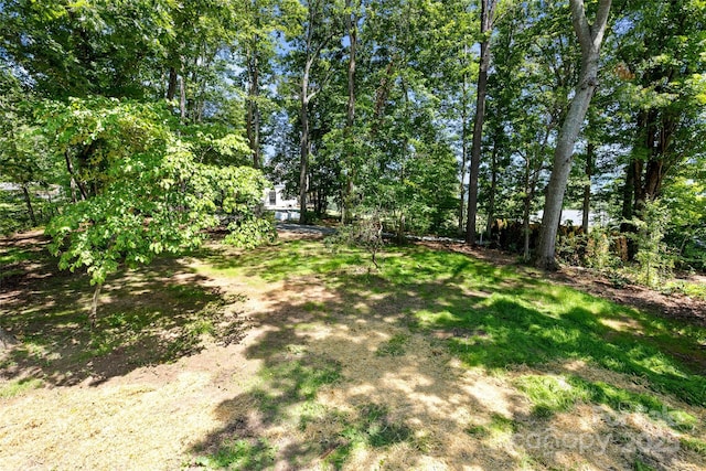 233 Youngs Cove Rd, Candler, NC 28715 - photo 29