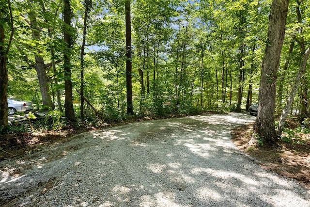 233 Youngs Cove Rd, Candler, NC 28715 - photo 41