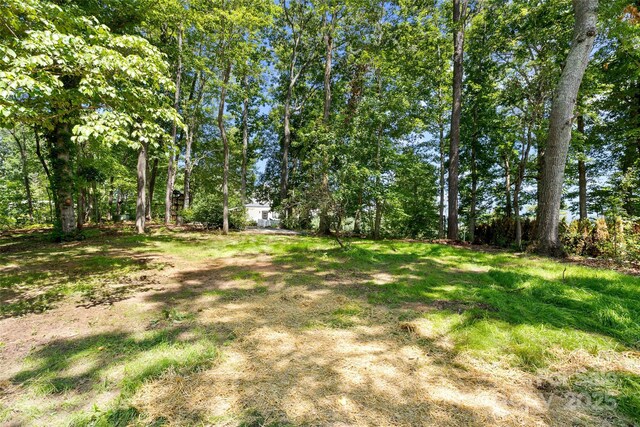 233 Youngs Cove Rd, Candler, NC 28715 - photo 44