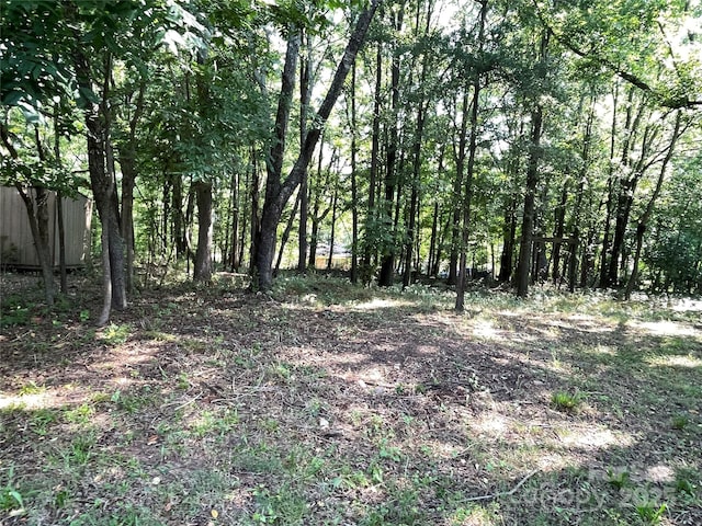 28 Maiden Ln, York, SC 29745 - photo 21