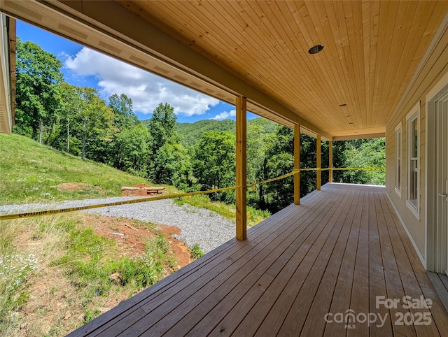 338 Majestic Mountain Dr, Burnsville, NC 28714 - photo 22