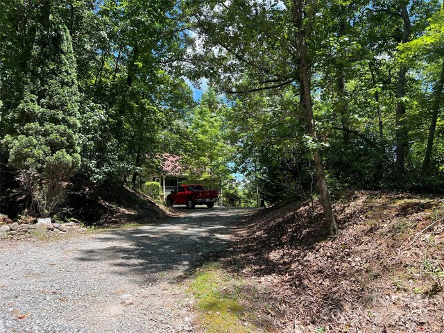 430 Laurel Heights Ln, Tryon, NC 28782 - photo 3