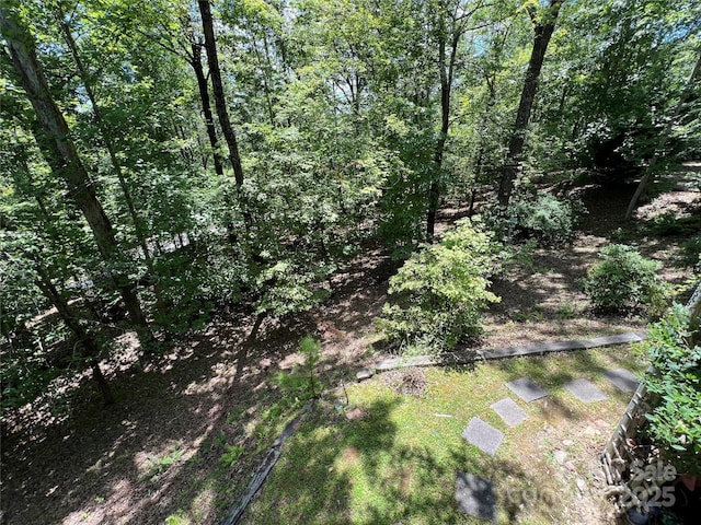 430 Laurel Heights Ln, Tryon, NC 28782 - photo 10
