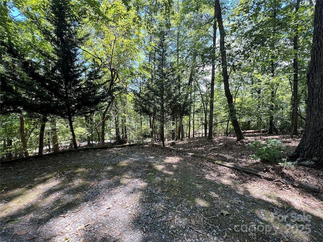 430 Laurel Heights Ln, Tryon, NC 28782 - photo 13
