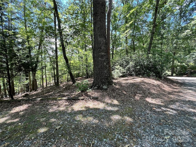 430 Laurel Heights Ln, Tryon, NC 28782 - photo 14