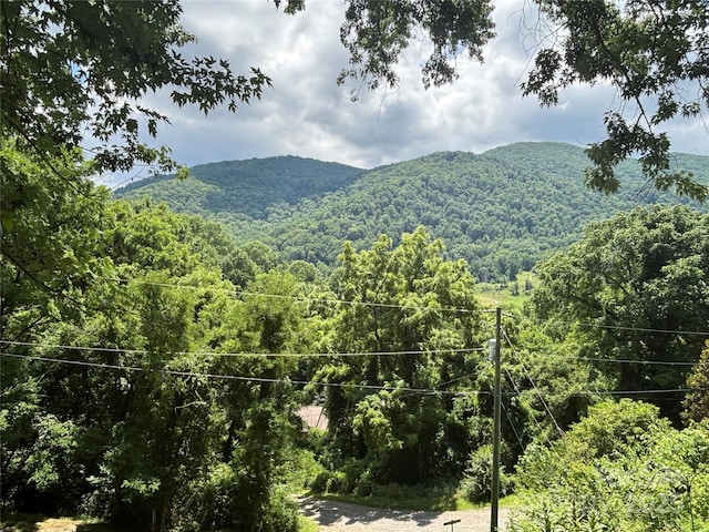 39 Moondust Dr, Waynesville, NC 28786 - mountain view with a forest