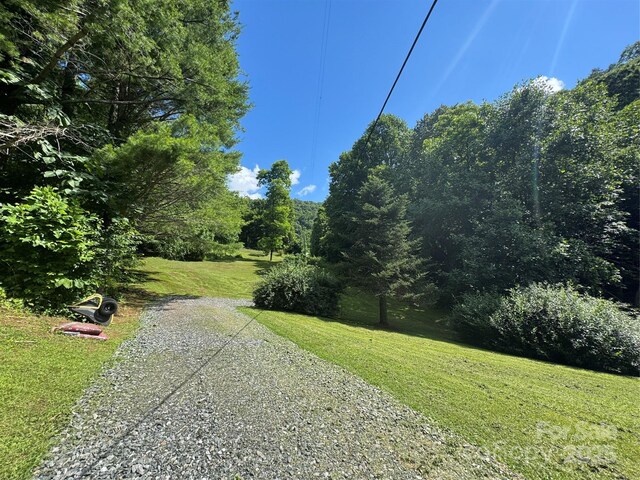 321 Skin Camp Creek Rd, Todd, NC 28684 - photo 31