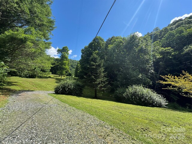 321 Skin Camp Creek Rd, Todd, NC 28684 - photo 32