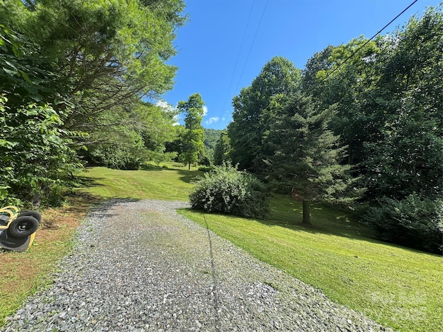 321 Skin Camp Creek Rd, Todd, NC 28684 - photo 34