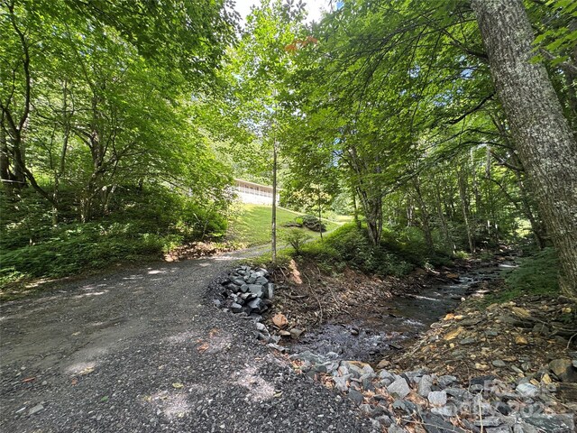 321 Skin Camp Creek Rd, Todd, NC 28684 - photo 46