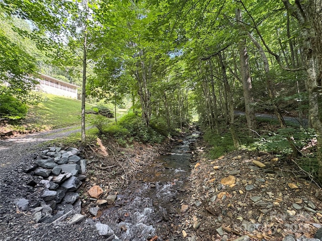 321 Skin Camp Creek Rd, Todd, NC 28684 - photo 47