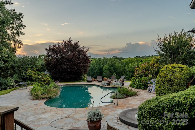 650 Golf Course Rd, Columbus, NC 28722 - pool at dusk with a patio and an outdoor pool