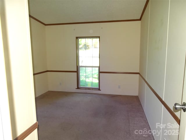 113 Dillon St, Winston Salem, NC 27107 - unfurnished room with ornamental molding and carpet flooring