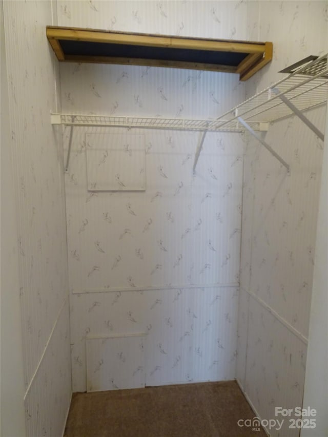 113 Dillon St, Winston Salem, NC 27107 - view of walk in closet